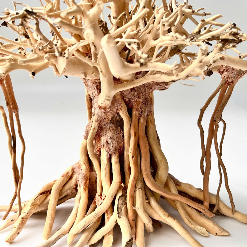 8" Driftwood Bonsai – Banyan Tree Style Decorative Sculpture