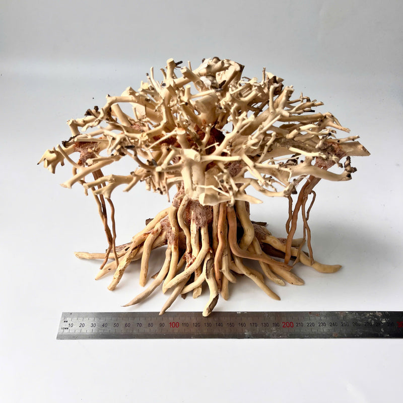 8" Driftwood Bonsai – Banyan Tree Style Decorative Sculpture