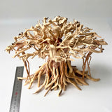 8" Driftwood Bonsai – Banyan Tree Style Decorative Sculpture