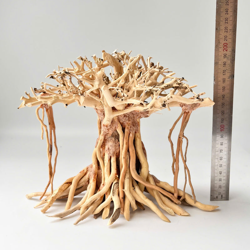 8" Driftwood Bonsai – Banyan Tree Style Decorative Sculpture