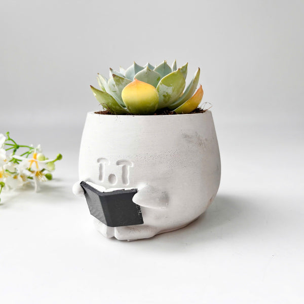 Echeveria Violet Queen Succulent in Crying Plant Pot