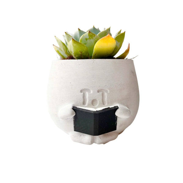 Echeveria Violet Queen Succulent in Crying Plant Pot