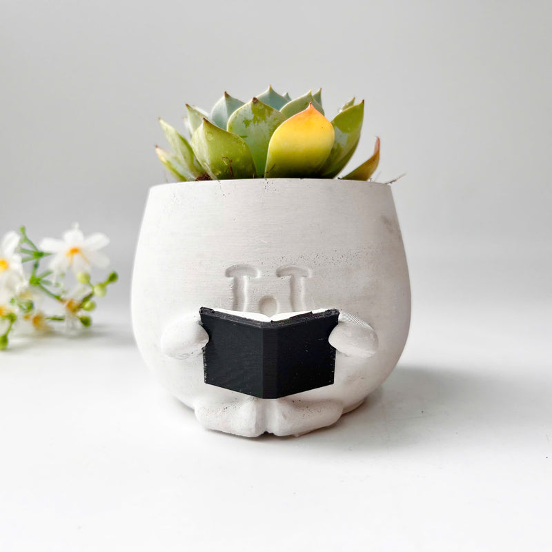 Echeveria Violet Queen Succulent in Crying Plant Pot
