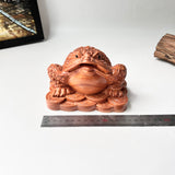 Feng Shui Money Toad Holding a Gold Coin – Symbol of Prosperity and Good Fortune
