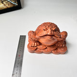 Feng Shui Money Toad Holding a Gold Coin – Symbol of Prosperity and Good Fortune