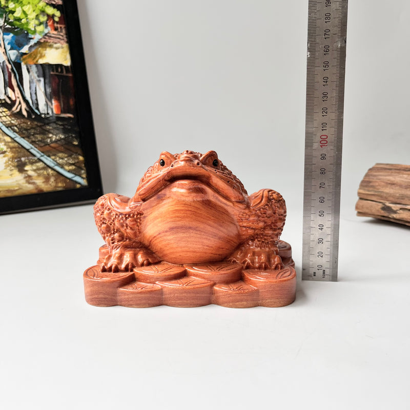 Feng Shui Money Toad Holding a Gold Coin – Symbol of Prosperity and Good Fortune