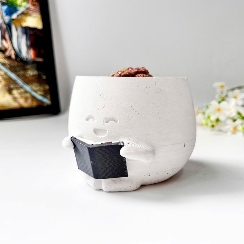 Lithops Living Stones Live Cactus in Smiling Reading Plant Pot