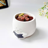 Lithops Living Stones Live Cactus in Smiling Reading Plant Pot