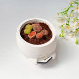 Smiling Reading Plant Pot