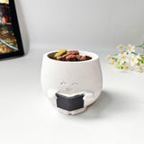 Lithops Living Stones Live Cactus in Smiling Reading Plant Pot