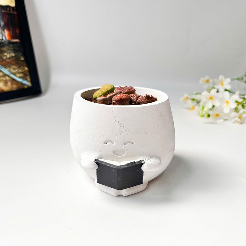 Lithops Living Stones Live Cactus in Smiling Reading Plant Pot