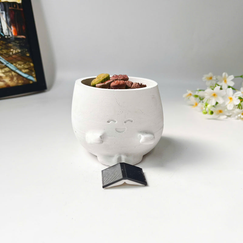 Lithops Living Stones Live Cactus in Smiling Reading Plant Pot