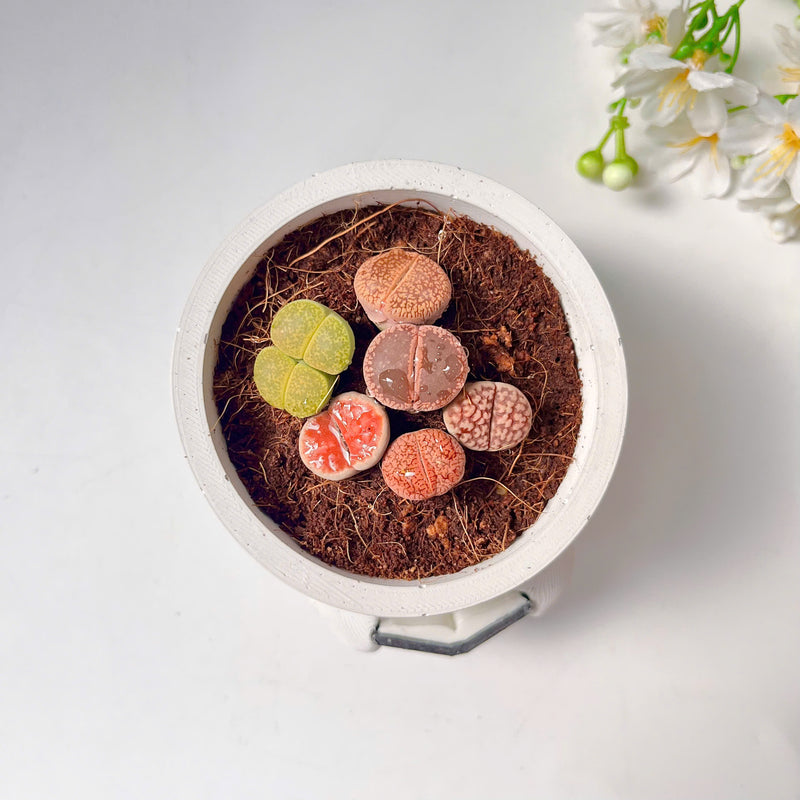 Smiling Reading Plant Pot