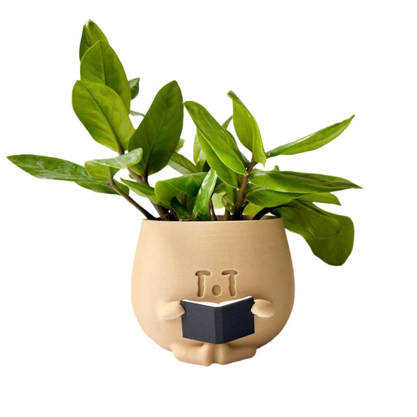 3D - Printed Crying Plant Pot (big size)