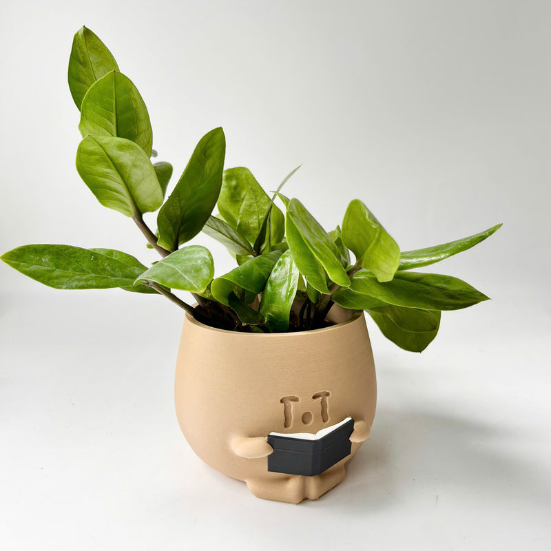 3D - Printed Crying Plant Pot