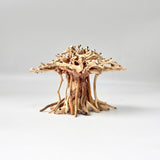 Natural Driftwood for Aquariums – Unique, Safe, and Decorative