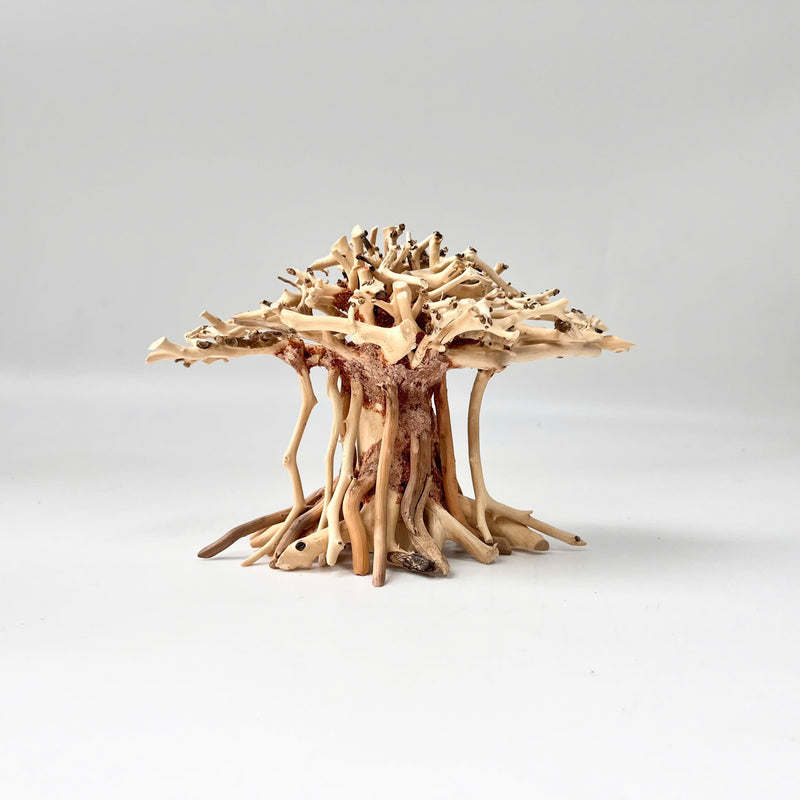 Natural Driftwood for Aquariums – Unique, Safe, and Decorative