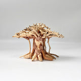 Natural Driftwood for Aquariums – Unique, Safe, and Decorative