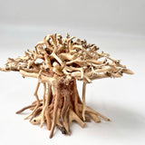 Natural Driftwood for Aquariums – Unique, Safe, and Decorative