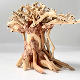 Natural Driftwood for Aquariums – Unique, Safe, and Decorative