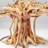 Natural Driftwood for Aquariums – Unique, Safe, and Decorative