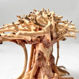 Natural Driftwood for Aquariums – Unique, Safe, and Decorative