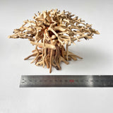 Natural Driftwood for Aquariums – Unique, Safe, and Decorative
