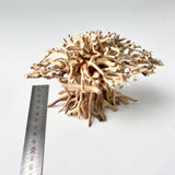 Natural Driftwood for Aquariums – Unique, Safe, and Decorative