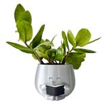 3D - Printed Smiling Plant Pot in Gray Plastic