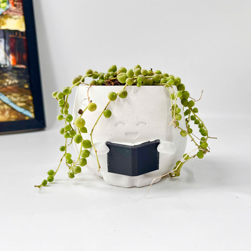 String Of Pearls (Senecio Rowleyanus) in Cheerful Reading Plant Pot