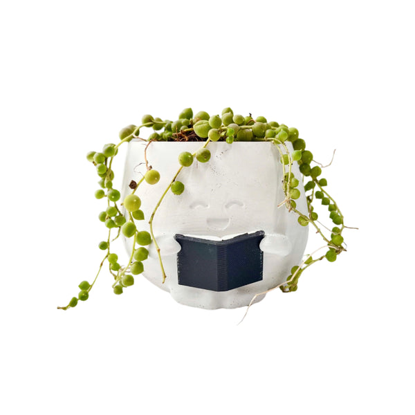 String Of Pearls (Senecio Rowleyanus) in Cheerful Reading Plant Pot