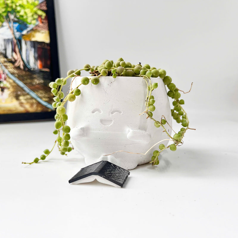 String Of Pearls (Senecio Rowleyanus) in Cheerful Reading Plant Pot
