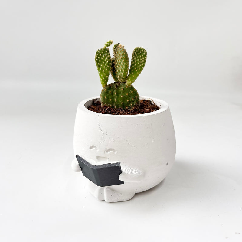 Bunny Ear Cactus in Smiling Reading Plant Pot
