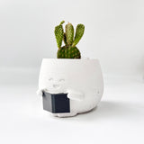 Bunny Ear Cactus in Smiling Reading Plant Pot
