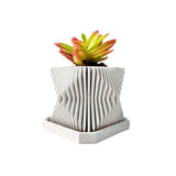 Crassula Campfire Plant in Mordent Plant Pot