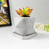 Crassula Campfire Plant in Mordent Plant Pot