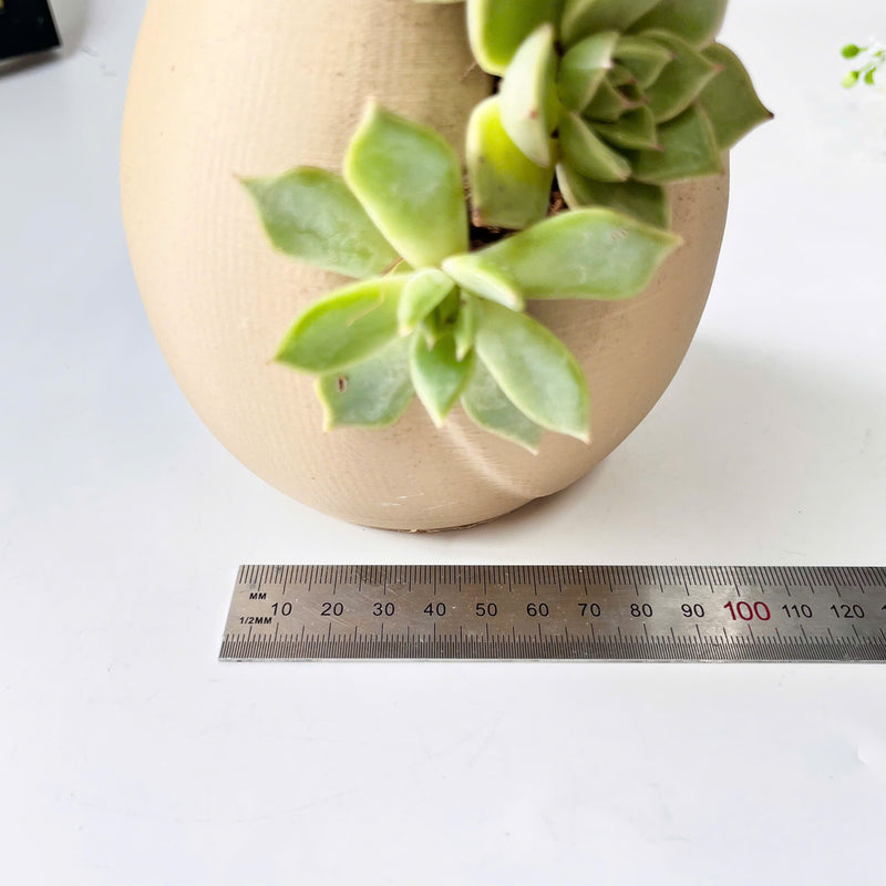 3D-Printed Vertical Grooved Plant Pot