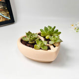 3D-Printed Heart-Shaped Plant Pot