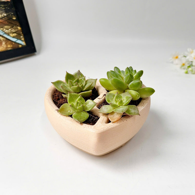 3D-Printed Heart-Shaped Plant Pot
