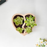 3D-Printed Heart-Shaped Plant Pot