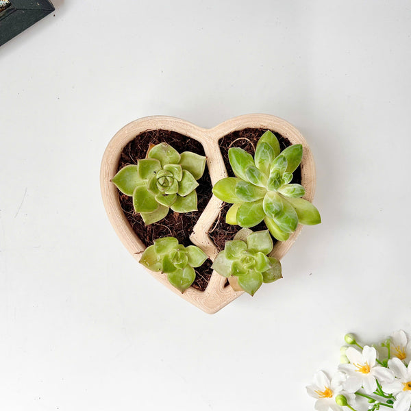 3D Printed Heart-Shaped Plant Pot
