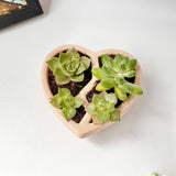 3D-Printed Heart-Shaped Plant Pot