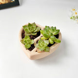 3D-Printed Heart-Shaped Plant Pot