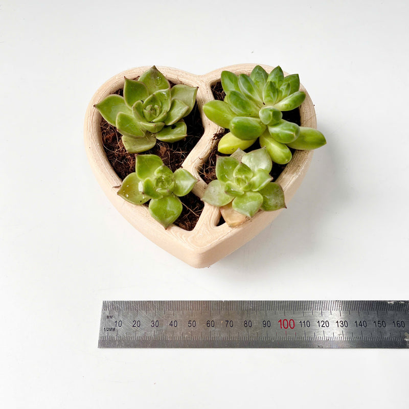 3D-Printed Heart-Shaped Plant Pot