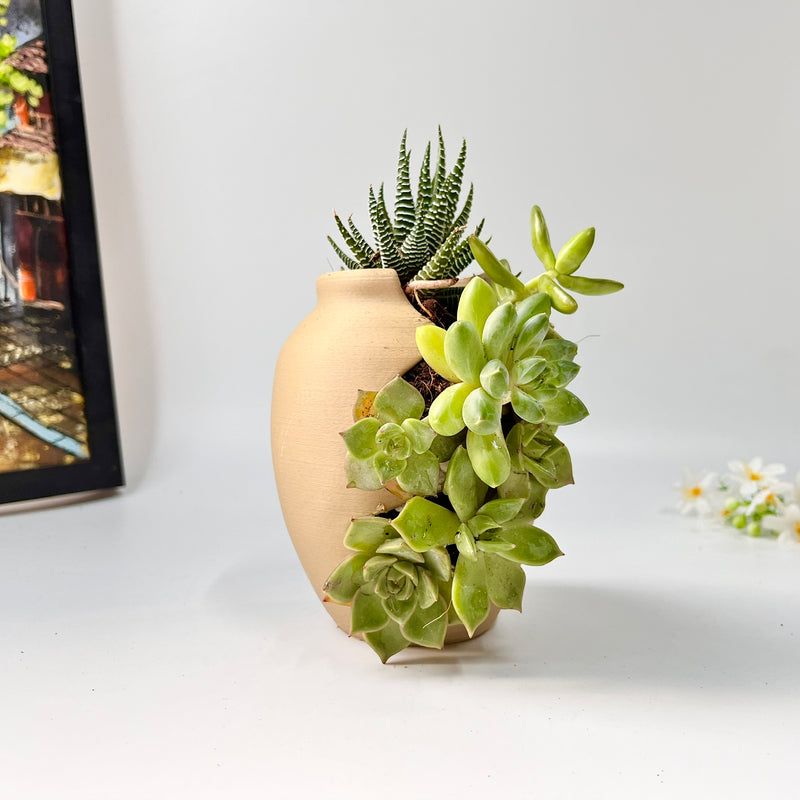 3D-Printed Planter with Wave-Like Grooves
