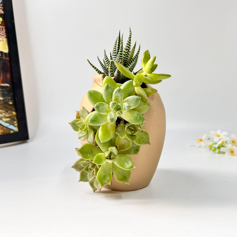 3D-Printed Planter with Wave-Like Grooves