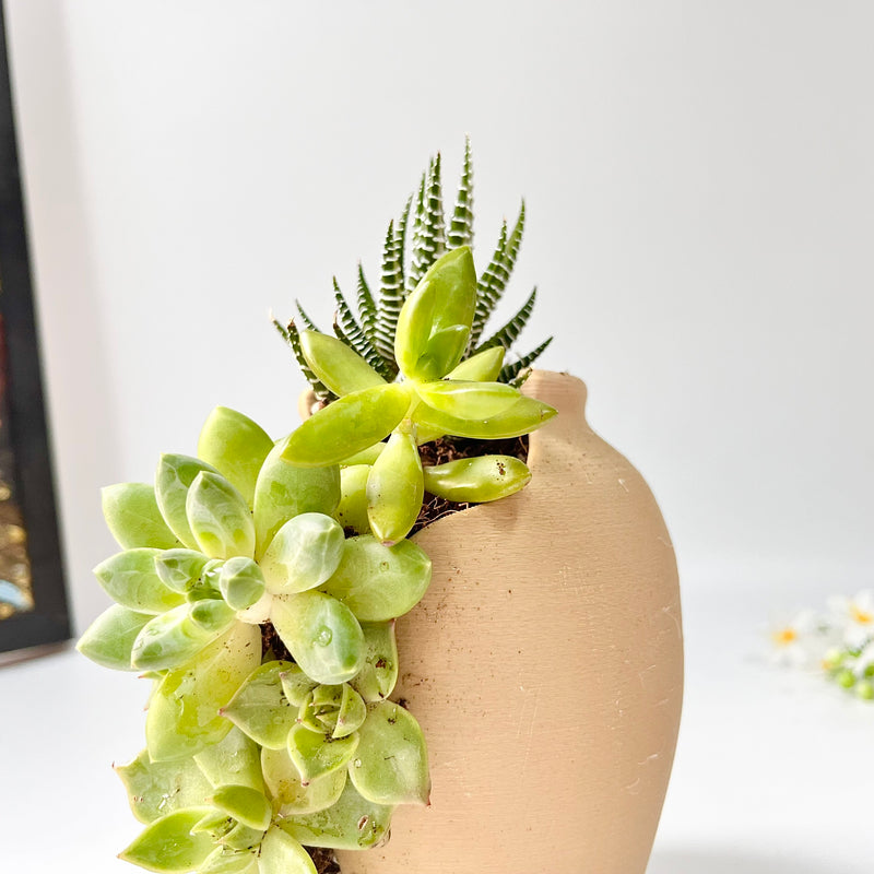 3D-Printed Planter with Wave-Like Grooves