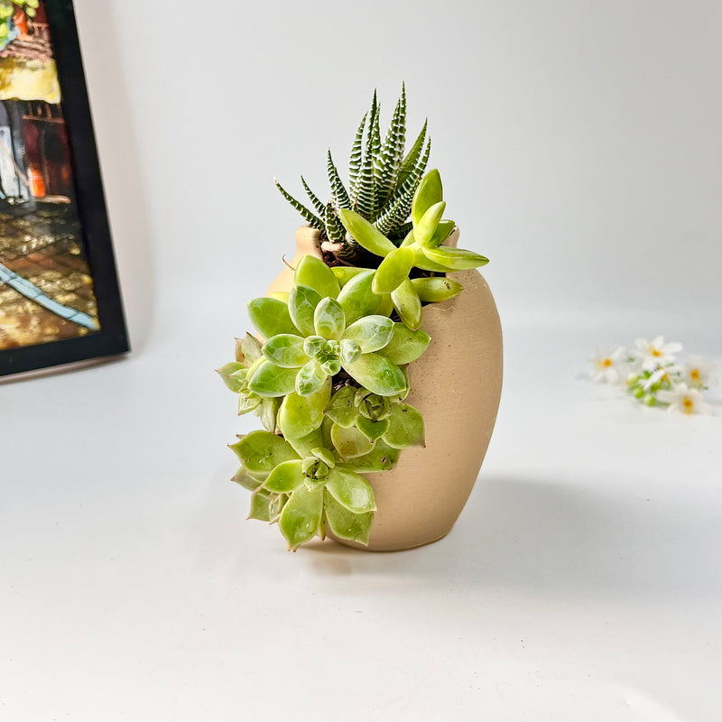 3D-Printed Planter with Wave-Like Grooves