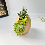 3D-Printed Planter with Wave-Like Grooves
