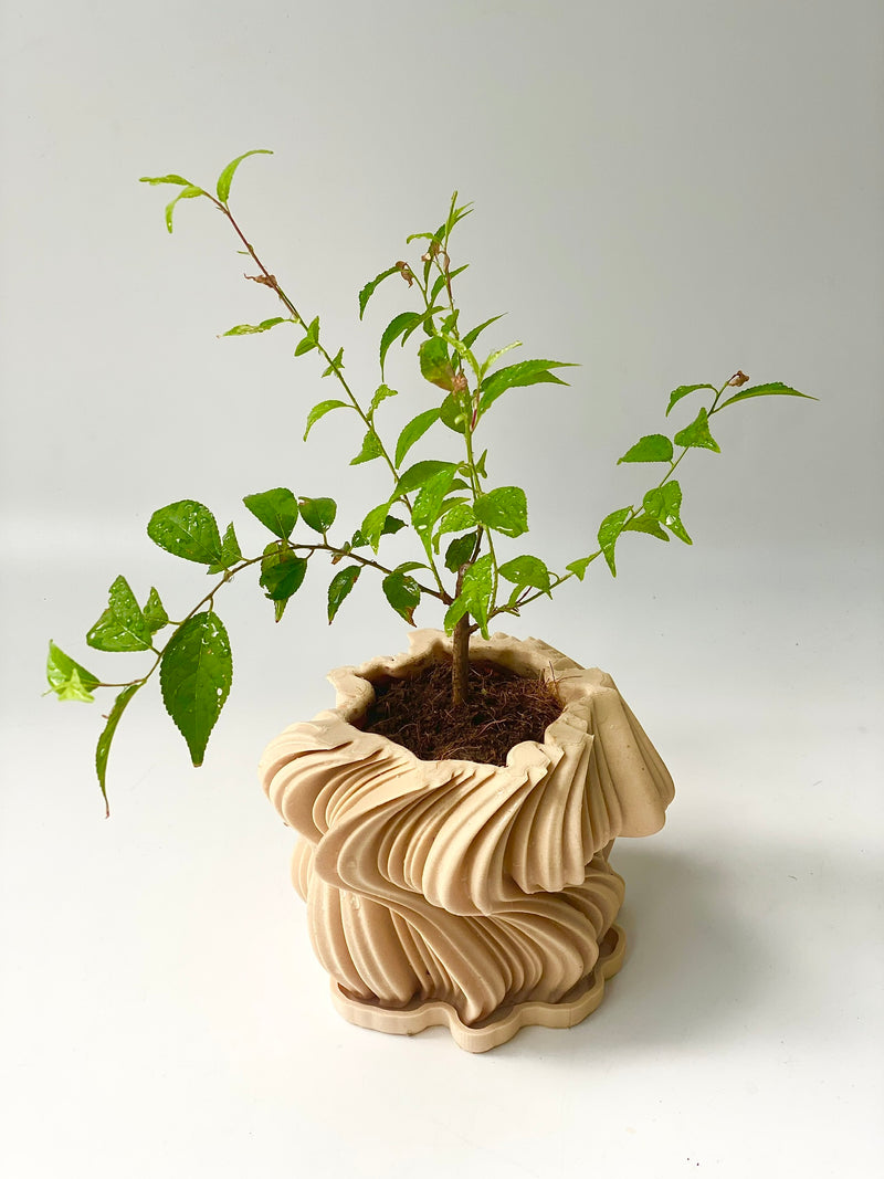 3D-Printed Wavy Planter